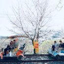 청도레일바이크 이미지