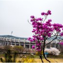 부천종합운동장 이미지