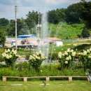 추학2리경로당 이미지