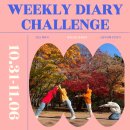 수원-지만-301 | 파워 ESFJ의 갓생살기22 :) 가을 주말 속초여행!! 다이어트는 다음 주부터 하면 돼.... (10월 31...