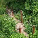 두척계곡 이미지