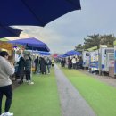 궁평항 어항구역 내 주차장 일부 이미지