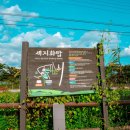 세지화탑마을 이미지