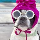 위클라드 커플 풀빌라 이미지