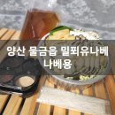 나베용 이미지