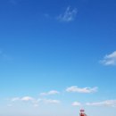 대풍바지락칼국수