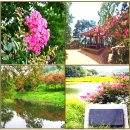 8. 瀟灑園 四十八詠(소쇄원 48영)38~42:梧陰瀉瀑오음사폭,柳汀迎客유정영객,隔澗芙蕖격간부거,散池蓴芽산지순아,櫬澗紫薇츤간자미/ 이미지