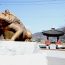 광양 홍쌍리 매화마을 매화축제(1) 이미지