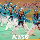 호림태권도 이미지