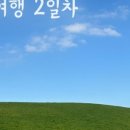 와사비 호테루 네이버블로그
