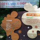 식장산 숲길 이미지