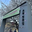 우성 닥터존 호원점 | 의정부 호원 벚꽃축제 :: 2023.04.08 - 2023.04.09