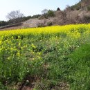 남해-239 이미지