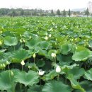 이영규농장 이미지