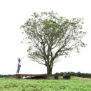 제주통나무휴양펜션 이미지