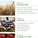 보리베리 이미지