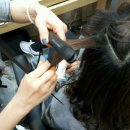 나무헤어 이미지