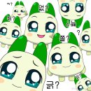 미드픽 이미지