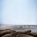 &#39;도심에서 20분&#39; 포내 바다마을의 변신? 이미지