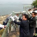 낙동강변19 이미지