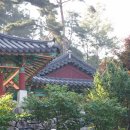 불주사 - 1216 | 불주사