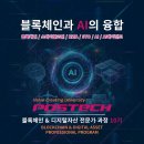 세종성형외과의원 | STO, RWA, 스테이블코인, 블록체인 과 AI융합 배워봅시다! 포항공대 전문가 10기 과정 모집!
