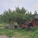 토담농장 이미지