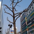 가가스튜디오 이미지