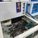 영빈회센타 이미지