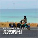 냉천(낭만자전거1) | 제주 액티비티 추천ㅣ월정리 바다 따라 달리는 쓩쓩렌탈샵 전기자전거 후기