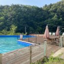 로로포레 이미지