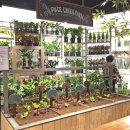 롯데마트 광교점 이미지