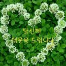 가고픈청보리 이미지