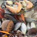 씨 사이드 뷰 이미지