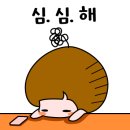 도이터 스피드라이트 프로 17 SL 후기