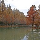 담양에코센터 이미지