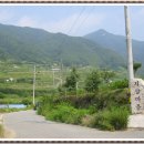 압곡2구 Daum카페