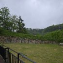 스테이상아 이미지