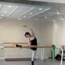 류플러스덴탈랩 | 취발러 2년반의 취미 발레 찐 후기+수지 발레복 모음