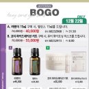 라벤더코지 이미지