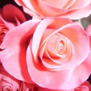 미림화원 이미지