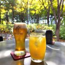 요나루일식 이미지