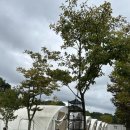 테마프라자약국 | 10.18-19 합천호코지캠핑장 타프13 타프존 후기 쉘터GHE 베스티블 첫개시