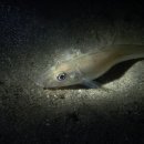 남해-317 이미지