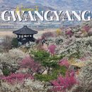 7-3 버스주차장 | 전남 광양 매화마을 축제 기간 주차장 셔틀버스 주말방문 후기