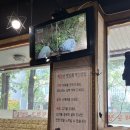 털레기어탕국수 | 일산 매운탕 맛집 임진강털레기매운탕 대화동 맛집 추천