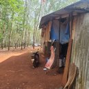 소수농장 이미지