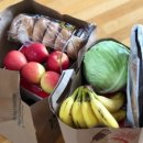 수유세탁 이미지