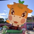 인당마을협동조합 | 횡성한우축제 2025 주차 가수 구이터 가격 먹거리 후기