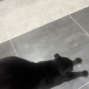 밥풀릭스울산무거점